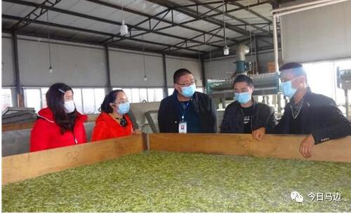 马边农产品获“身份证”，电商销售迈入溯源新阶段