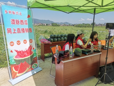 谭脉西瓜热销背后 国家地理标志产品1.5小时售1800斤的启示