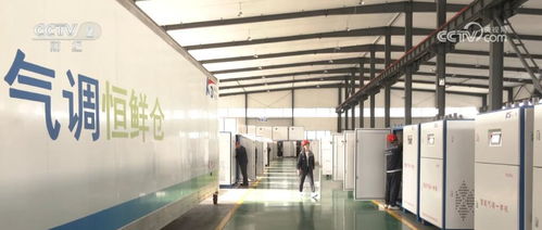 冷链保驾农产品储存销售，让线上农产品鲜起来、运得出、卖得好