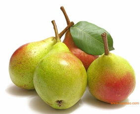 购买优惠库尔勒香梨，首选华夏田园农产品销售公司