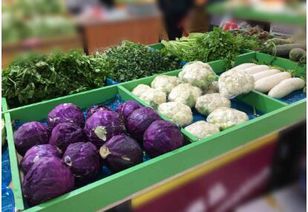 抠抠集团 以实效助力农产品流通现代化升级，领跑新零售时代